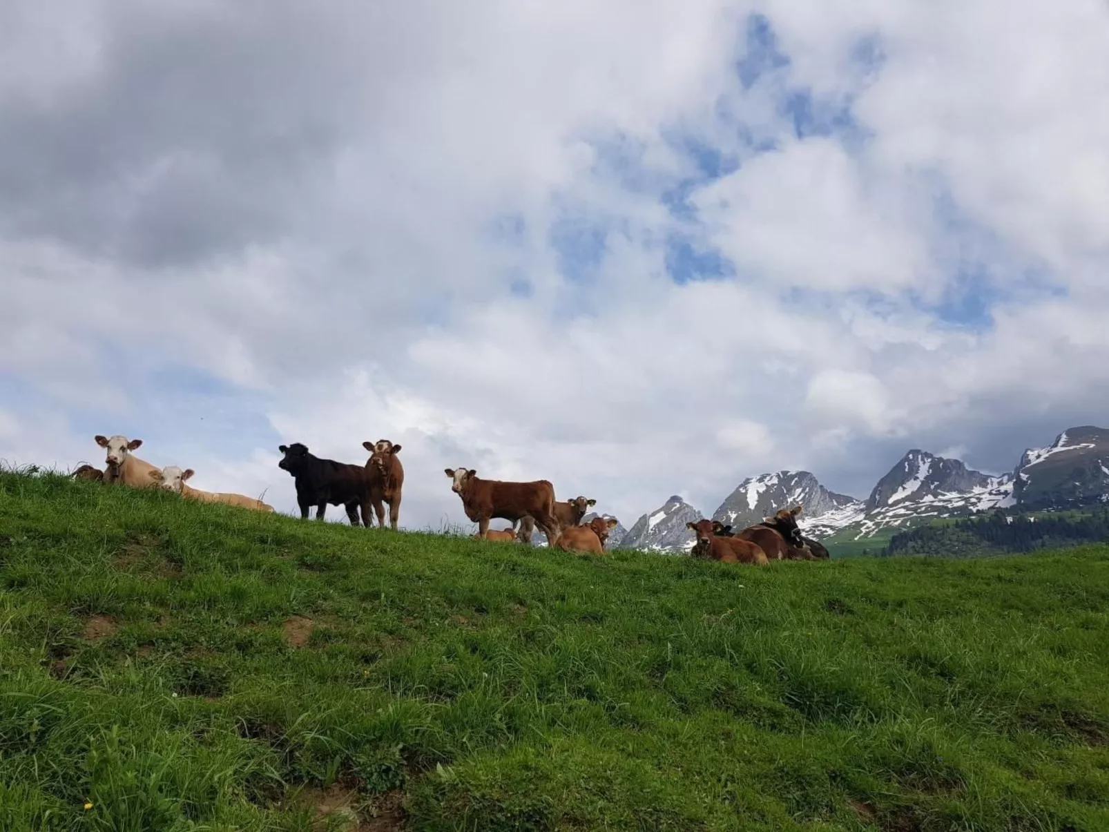 Ferien im Gugger - Wohnung Churfirsten-Buiten