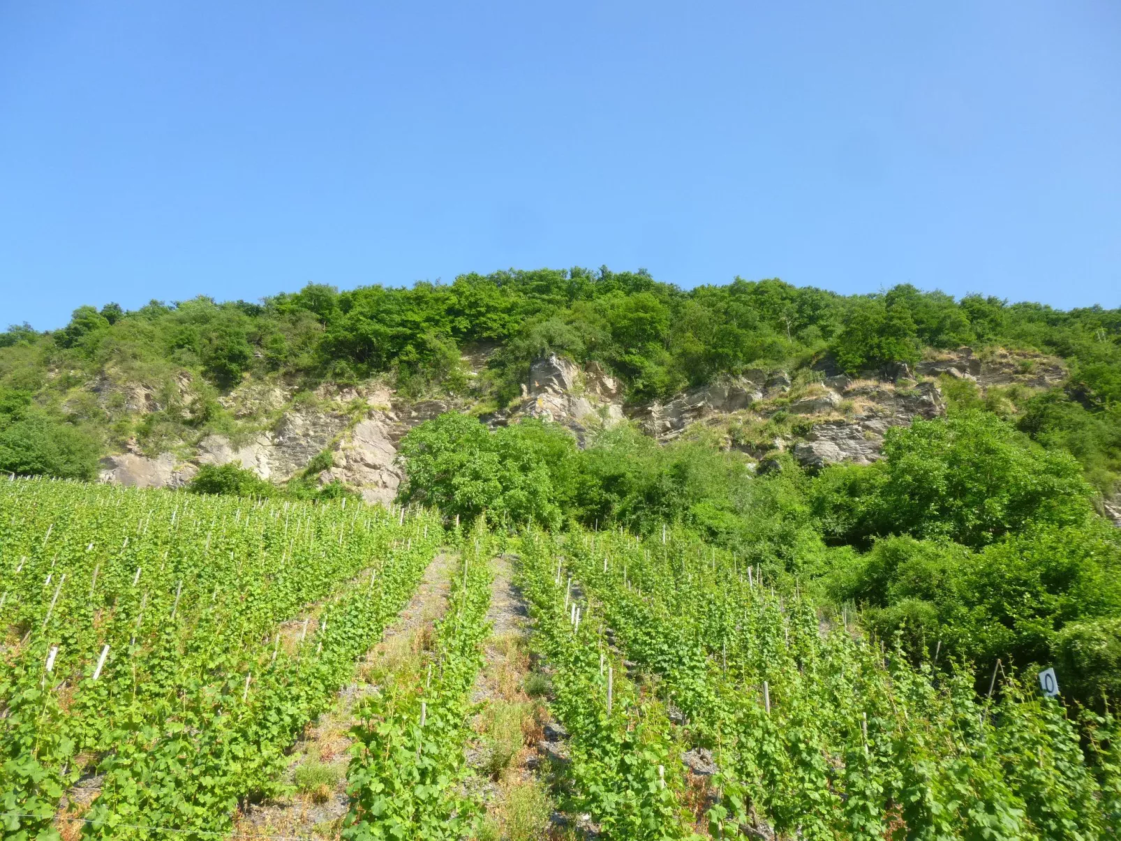 Moselschiefer-Traumferienwohnung am Moselufer-Buiten