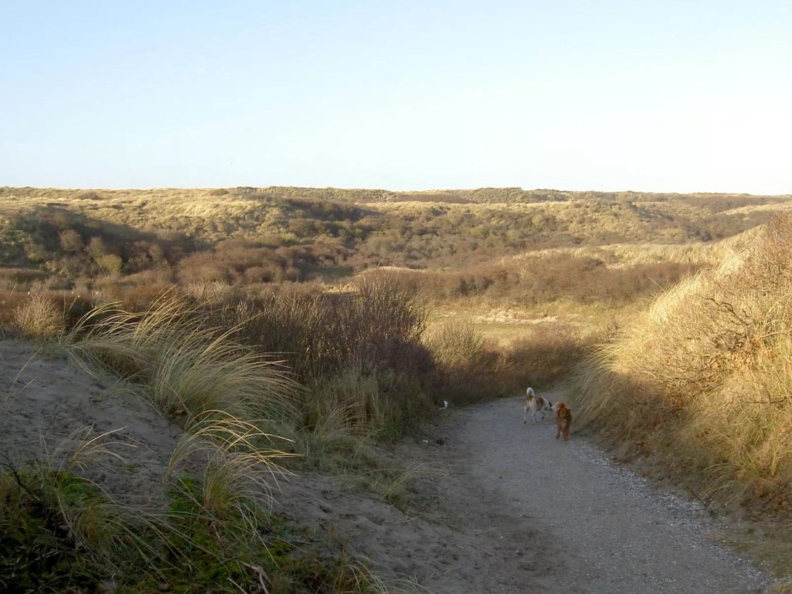 BlueSky - Image-tags.info