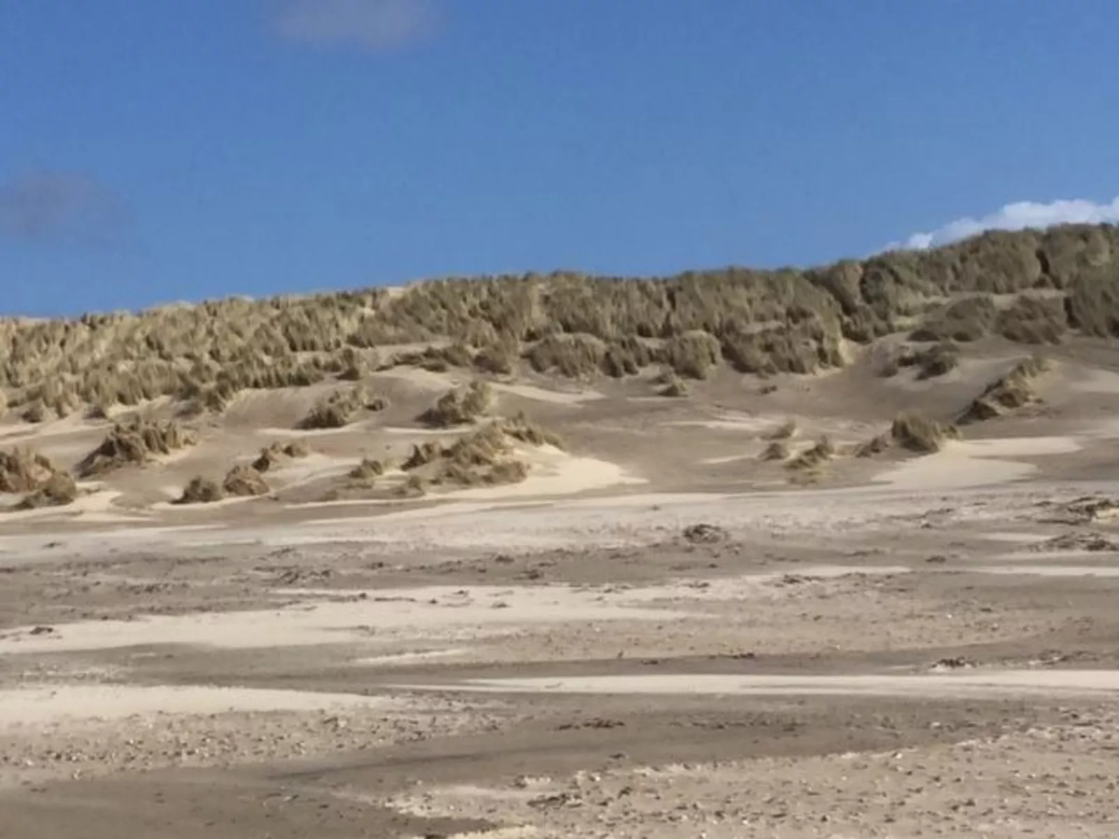 "Wad und Wal" mit Schwimmbad-Image-tags.info