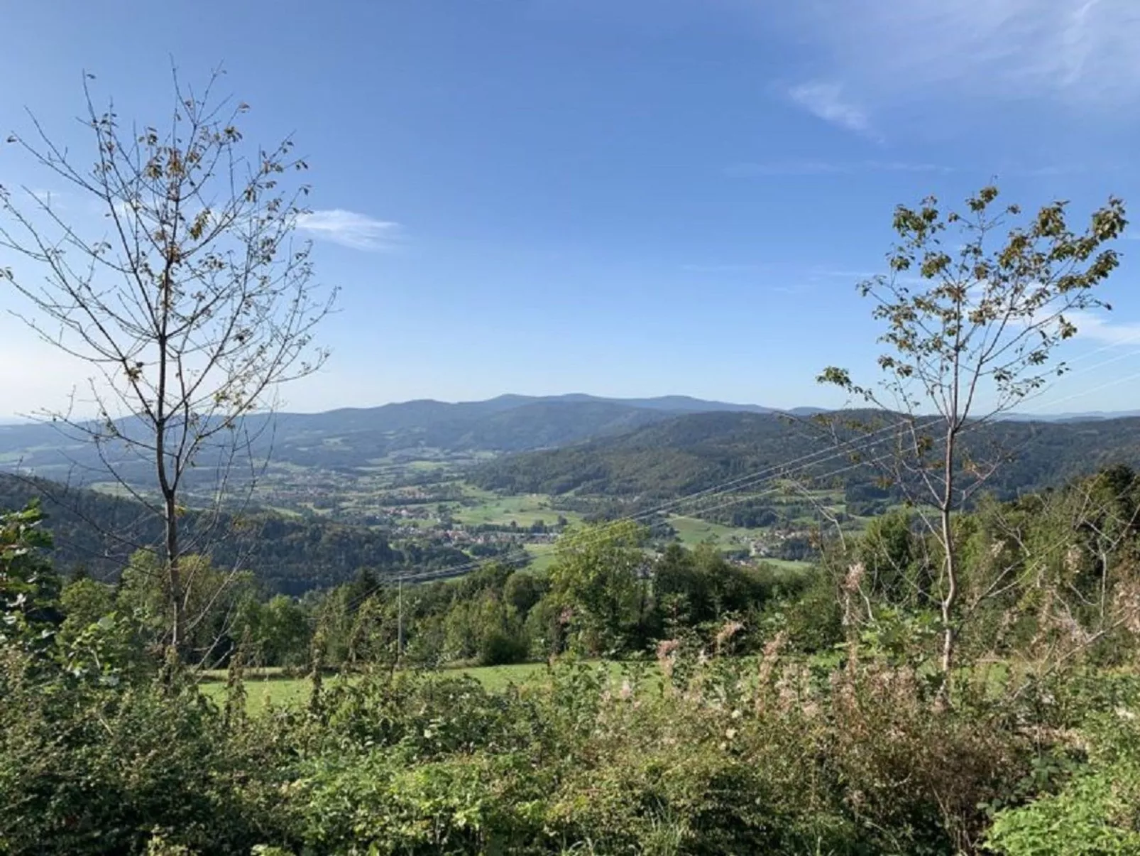 Bayerischer Wald auf 800m Höhe-Willkommen-Buiten