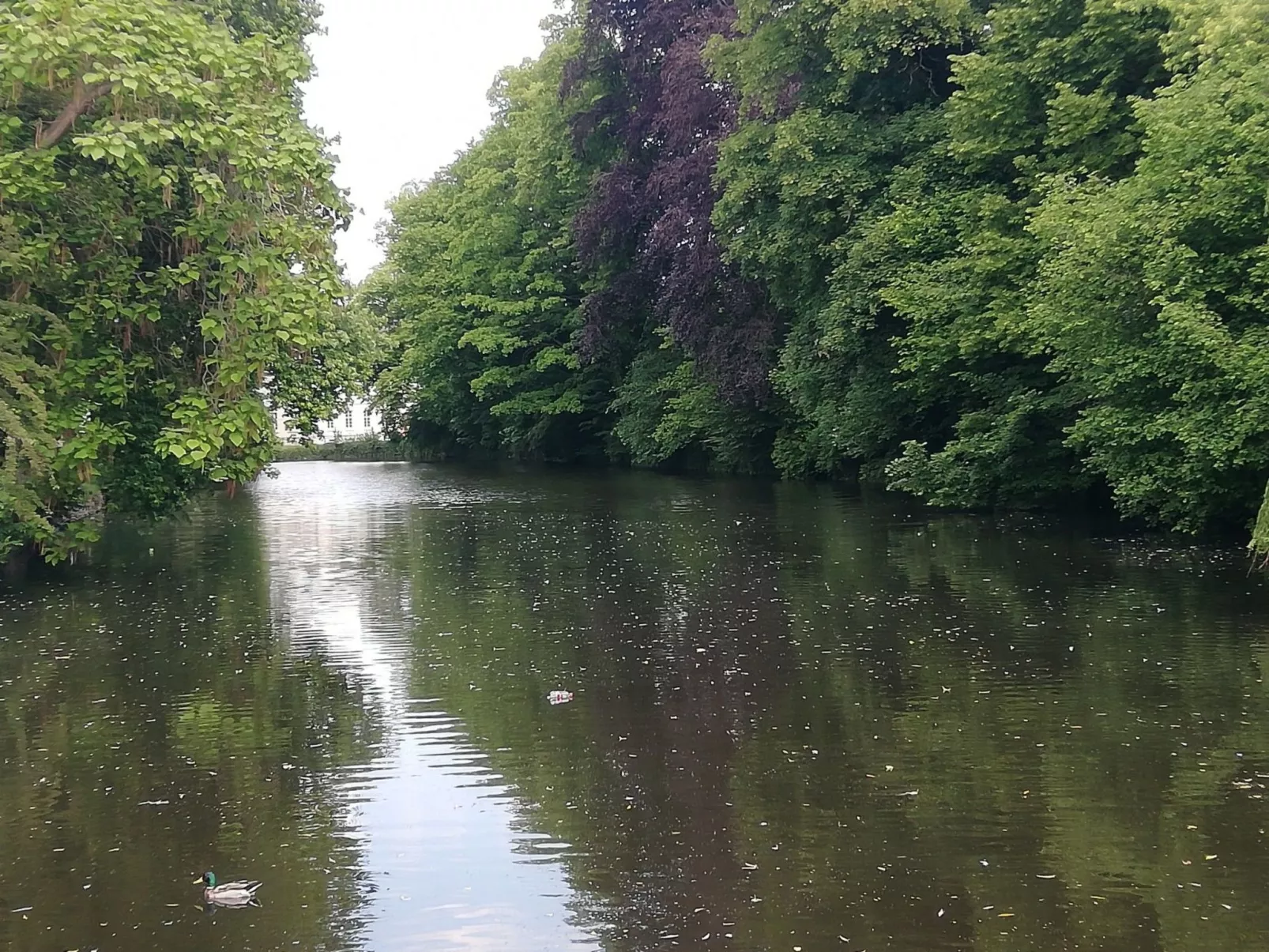 Apartment Lercher-Buiten
