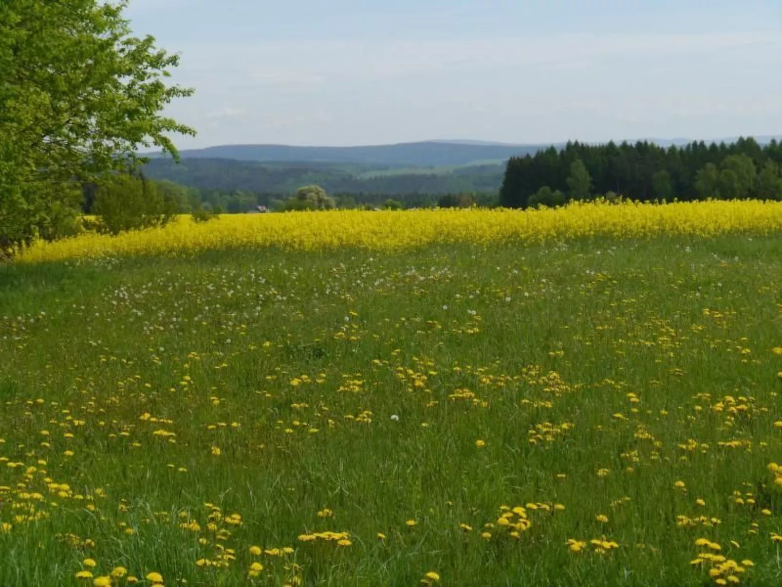 Gästehaus Siebert-Image-tags.info