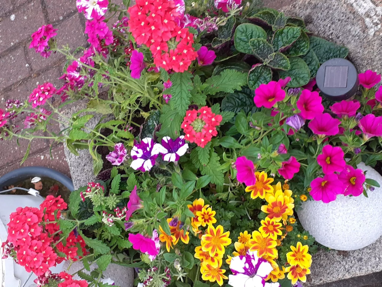 FeWo- Monteurwohnung-Buiten