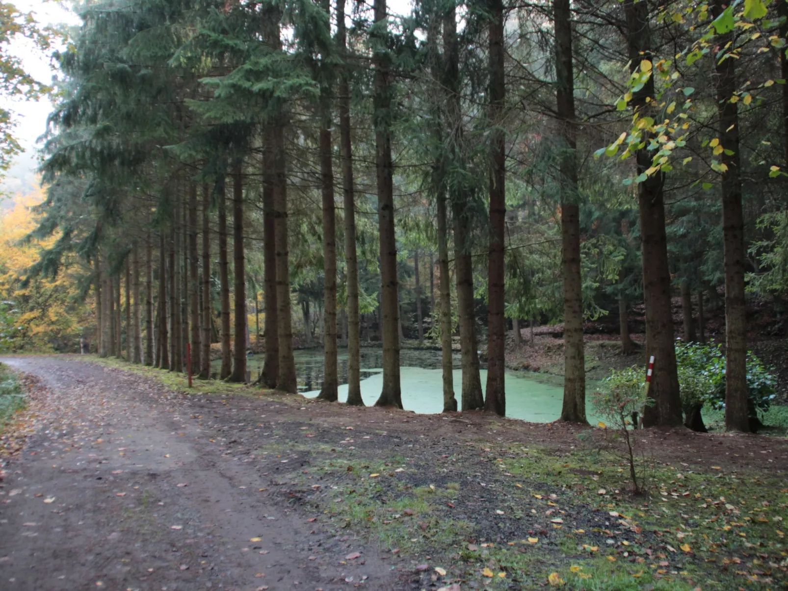 Cat'n'Boots Haus-Image-tags.info