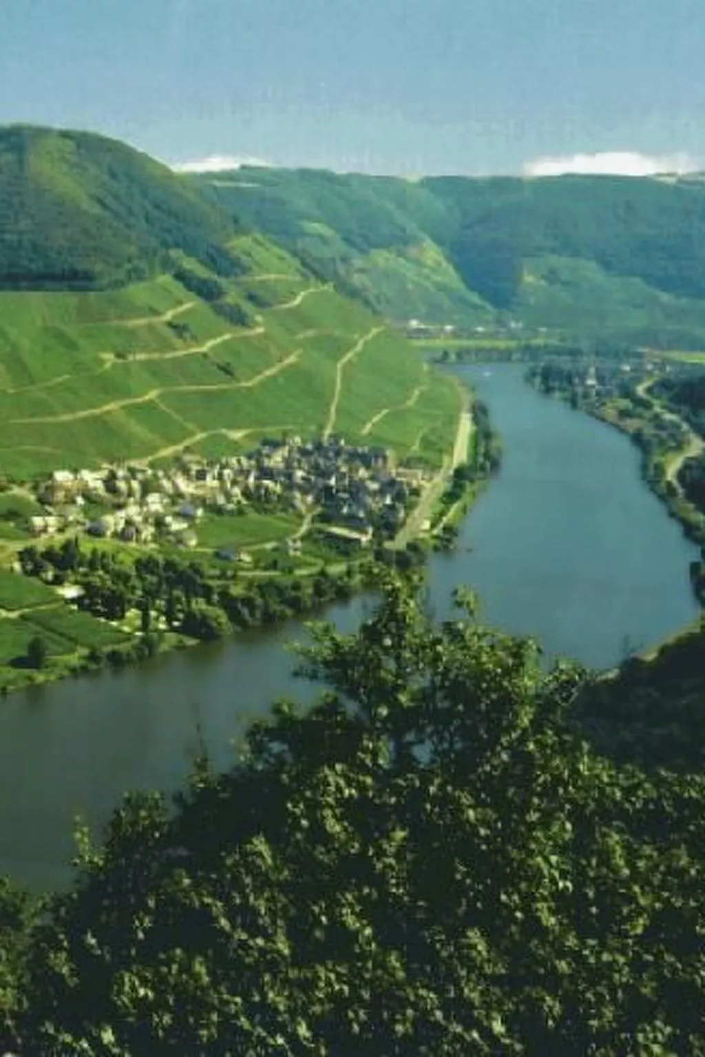 Altes Winzerhaus in Mesenich-Buiten
