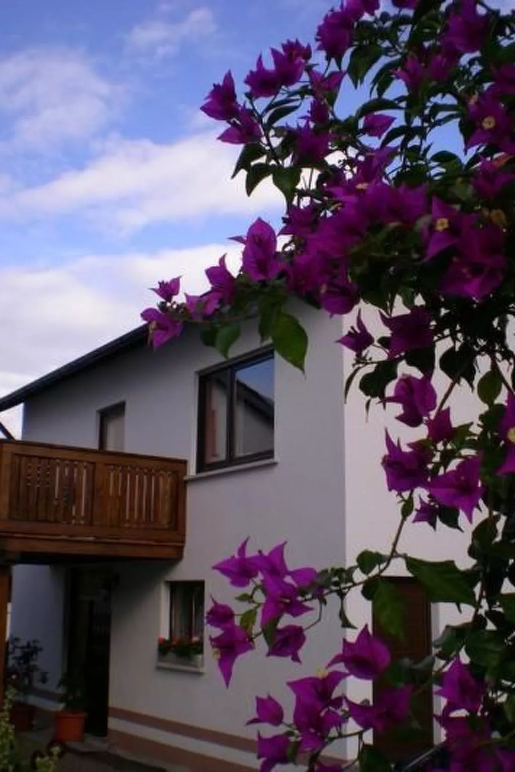 Casa Maria in Ehrenberg an der Rhön-Buiten