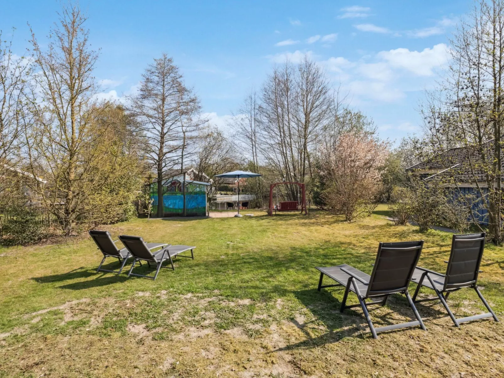 Pinto Rosso-Image-tags.info