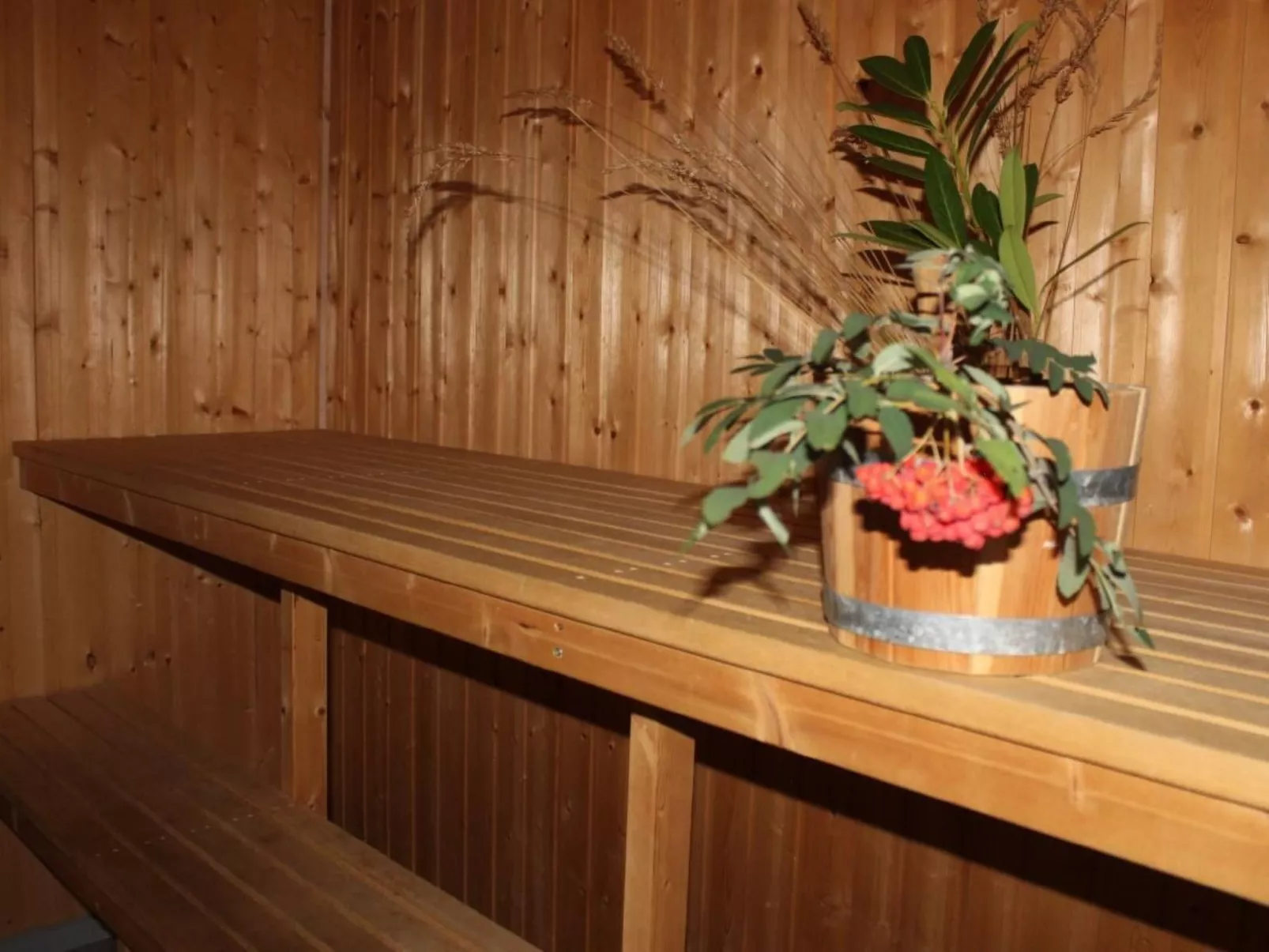 Pinto Béla-Image-tags.info