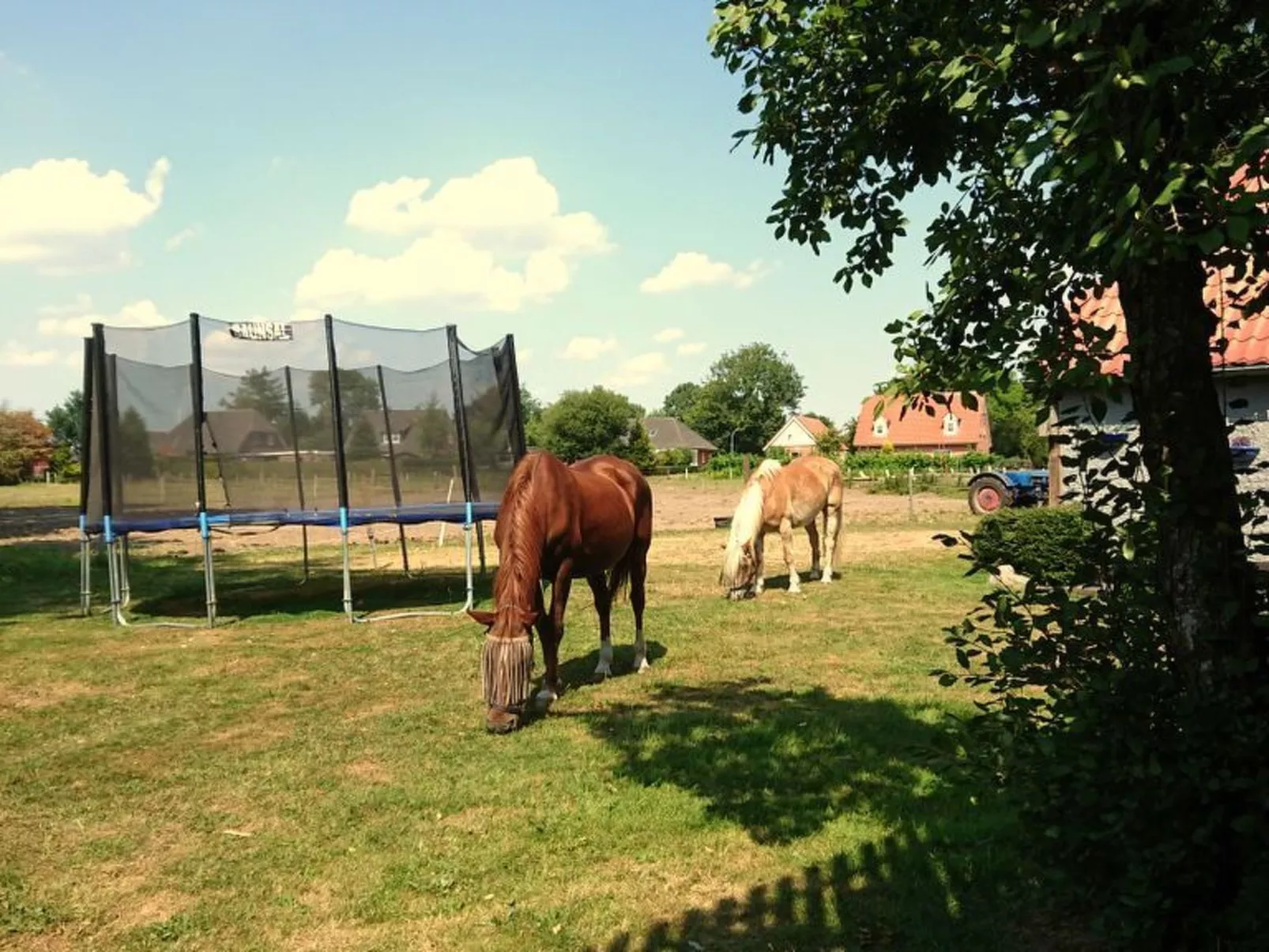 Över de Loh-Image-tags.info