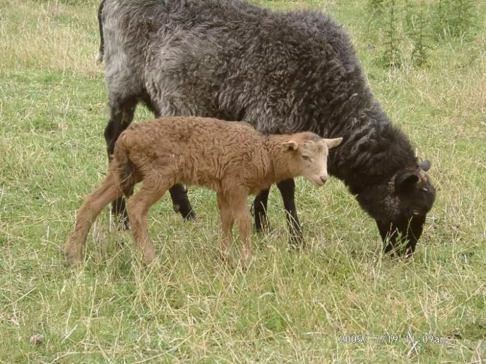 Mit Meerblick - direkt an der Ostsee-Buiten