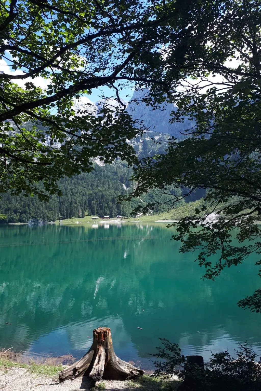 Deluxapartment Simon-Buiten