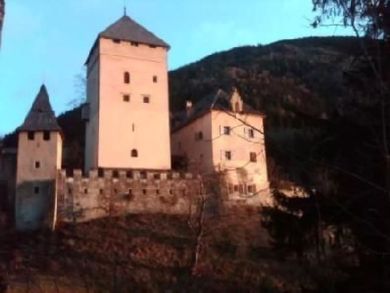 Zwischenberger-Image-tags.info