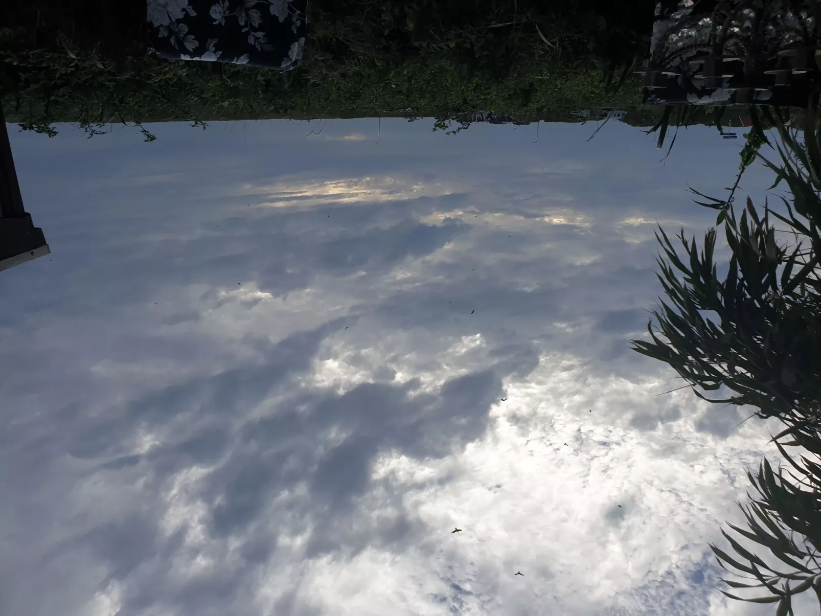 Di Mare-Image-tags.info