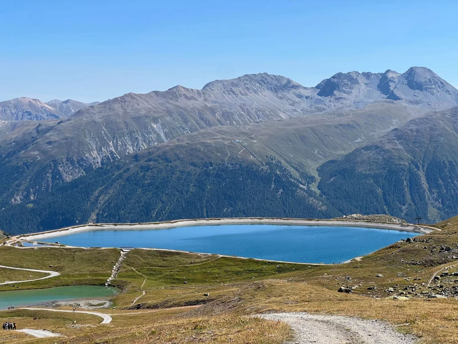 Chesa Robinson-Buiten