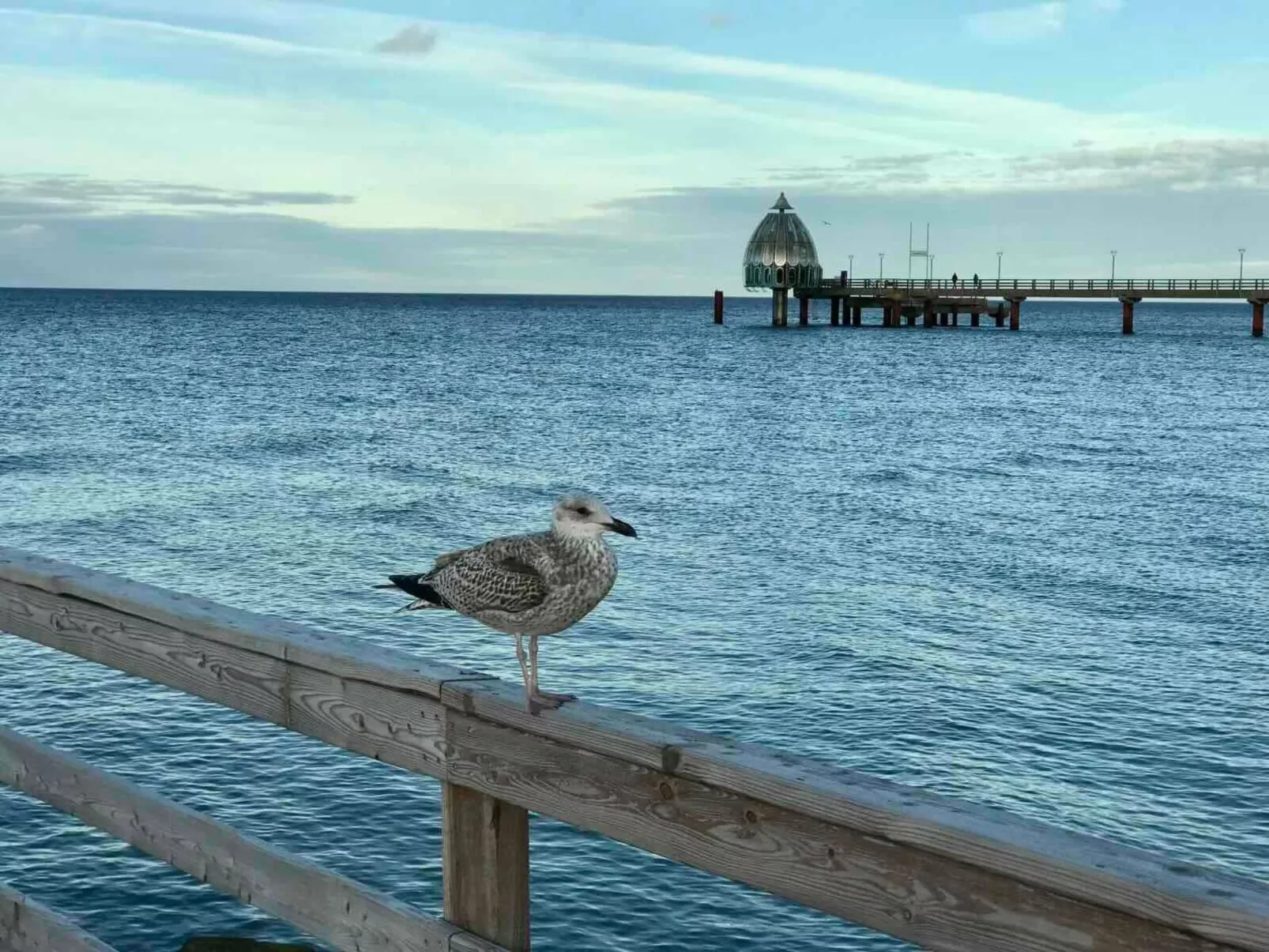 Wiesenblick 5-Buiten