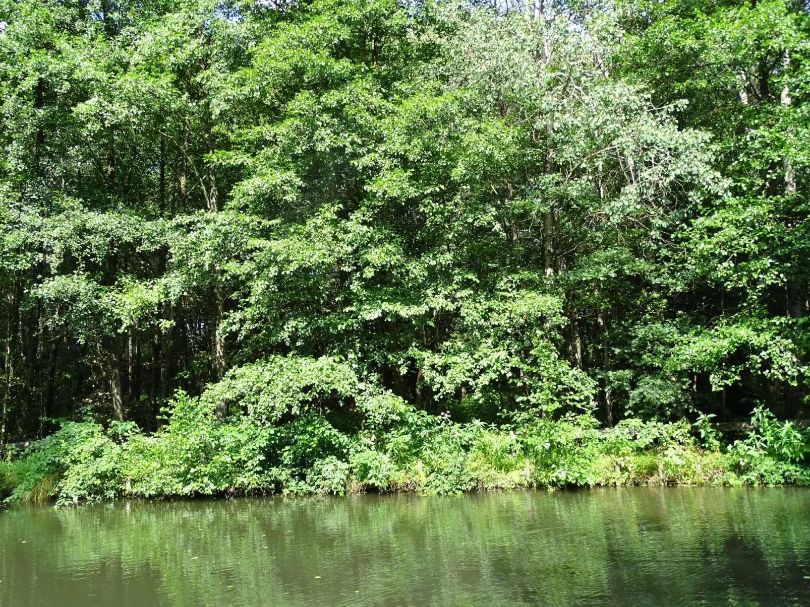 Haus Victoria-Buiten