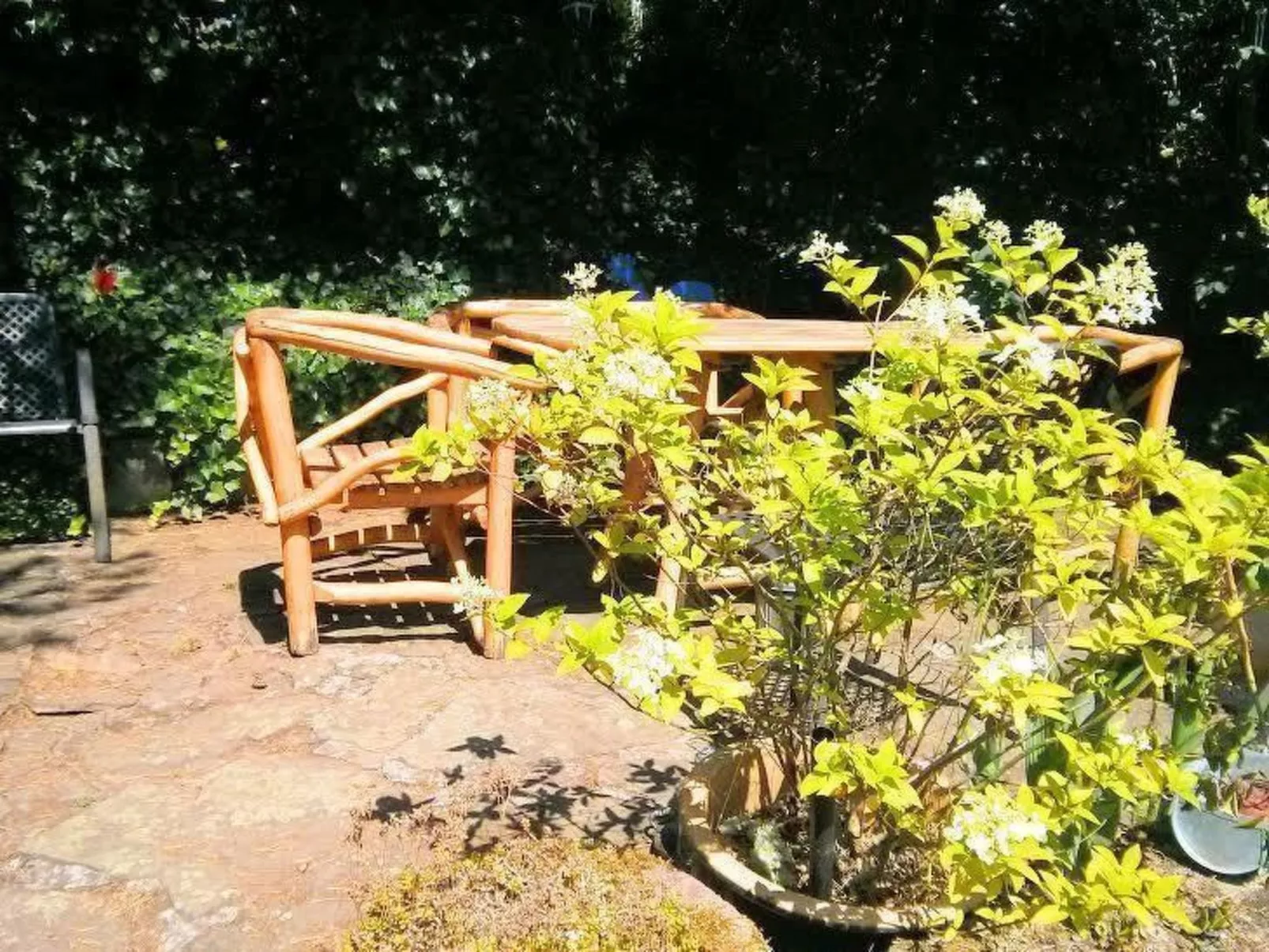 Ferien-Apartment  1-Image-tags.info