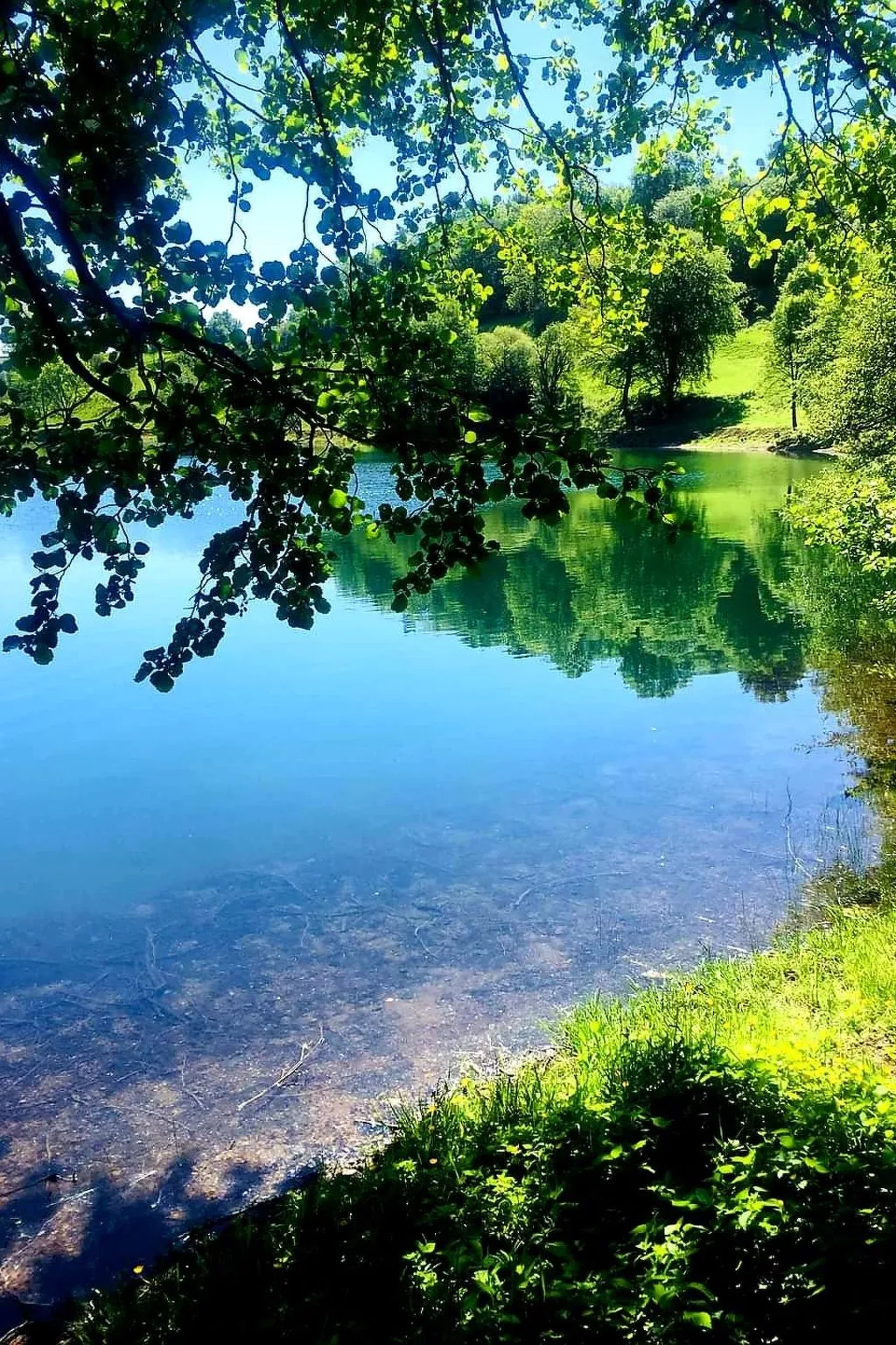 Landhaus Erika-Buiten