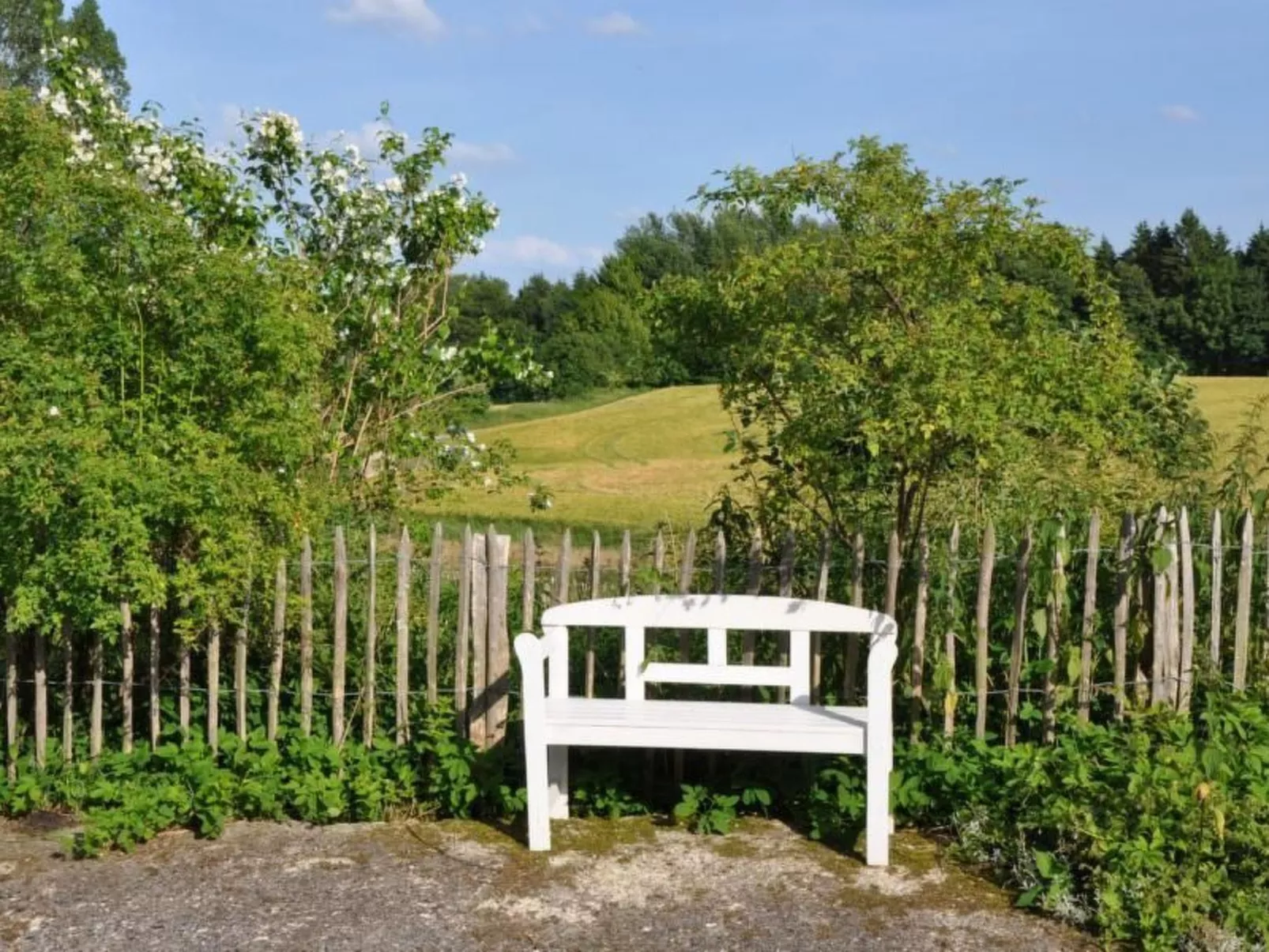 Hof Rodenkrog Fewo 1-Buiten