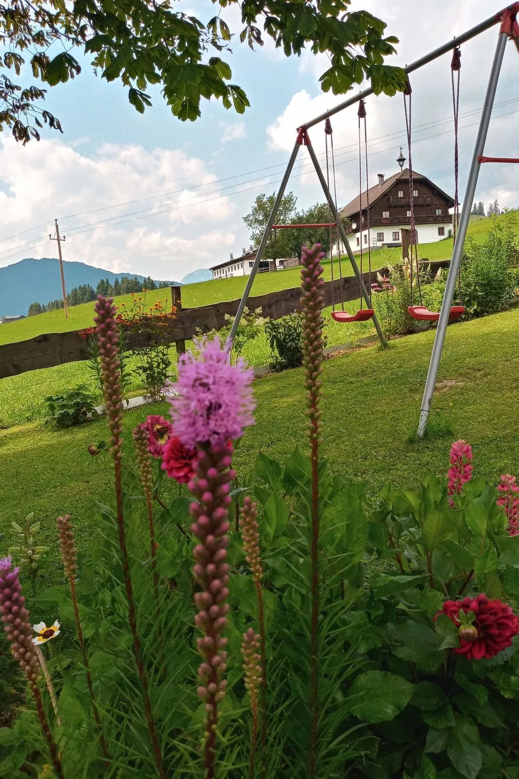 Gsenger Natur in Abtenau-Buiten