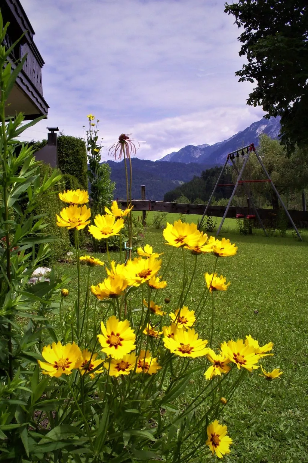 Gsenger in Abtenau-Buiten
