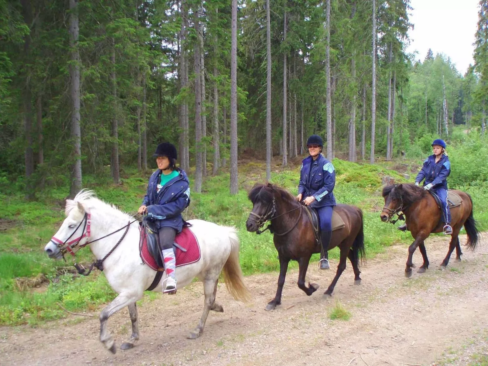 Rosenapartment-Buiten