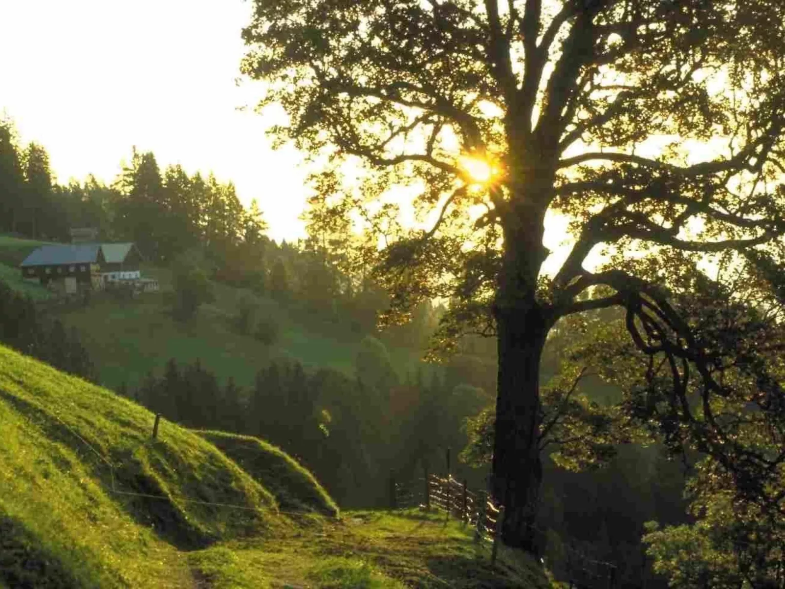 Hans Ebner in Eben im Pongau-Buiten