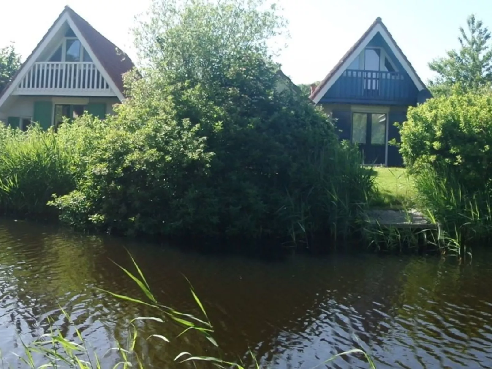 138 Merle-Image-tags.info