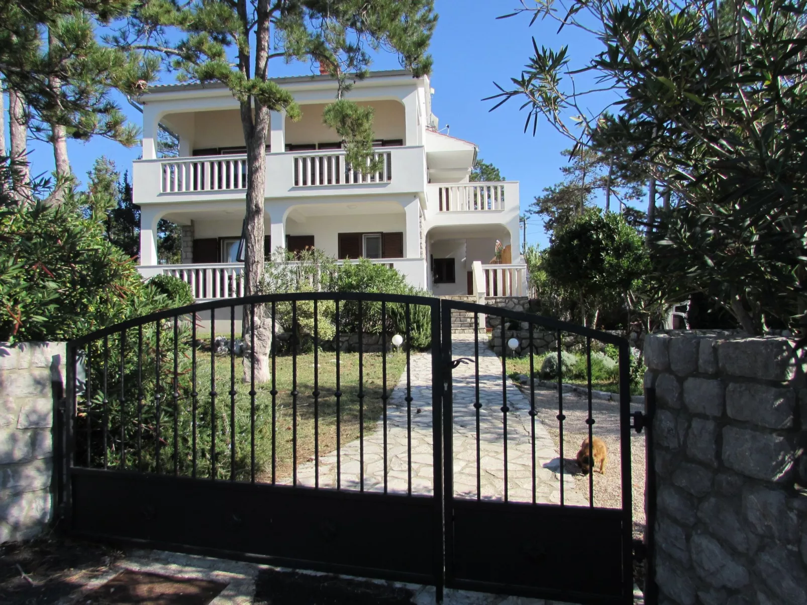 Apartment Zeljka-Image-tags.info