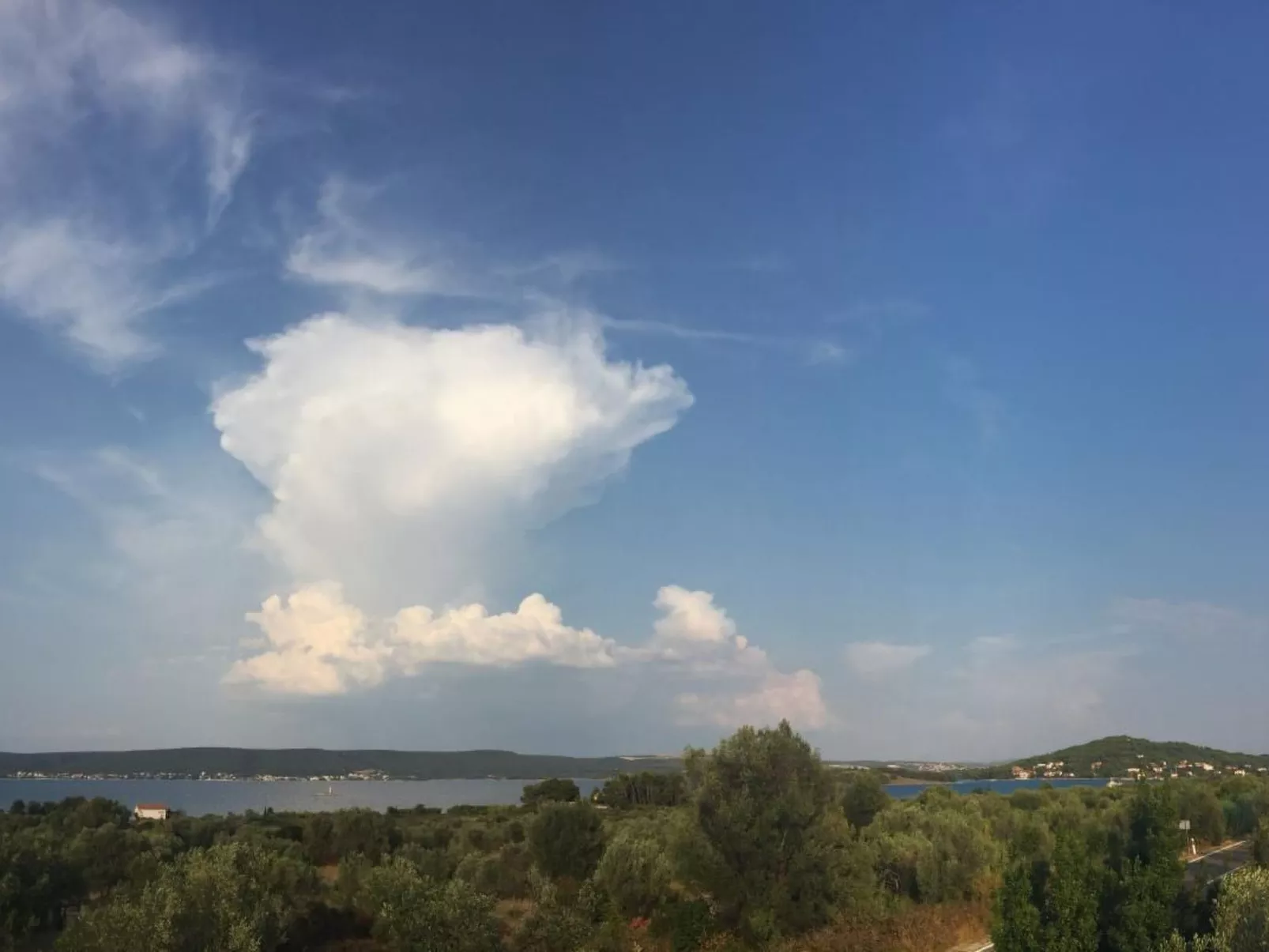 Apartment Rosa-Image-tags.info