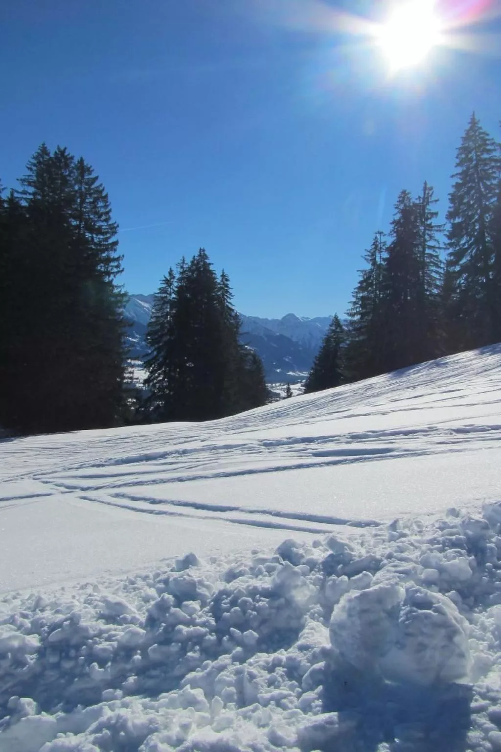 Mit Hallenbad-Buiten
