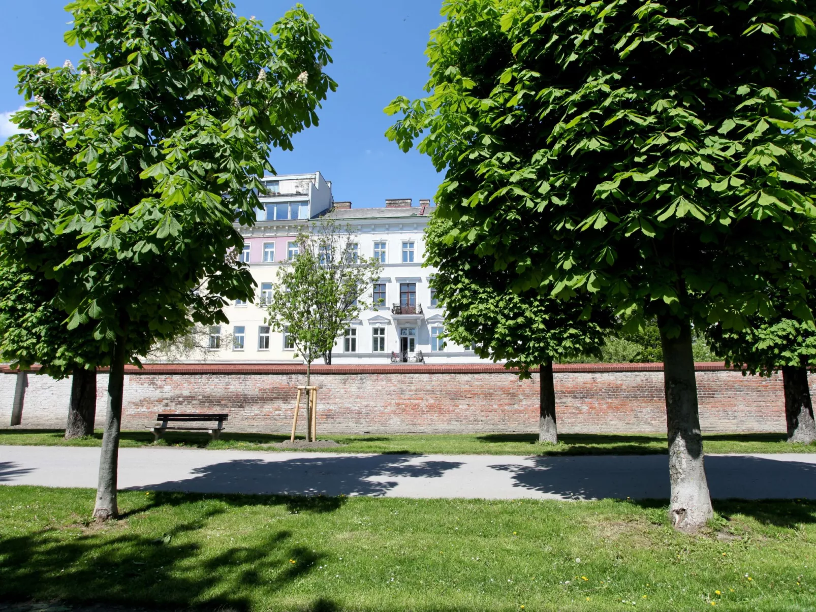 Sonnige Wohnung-Buiten