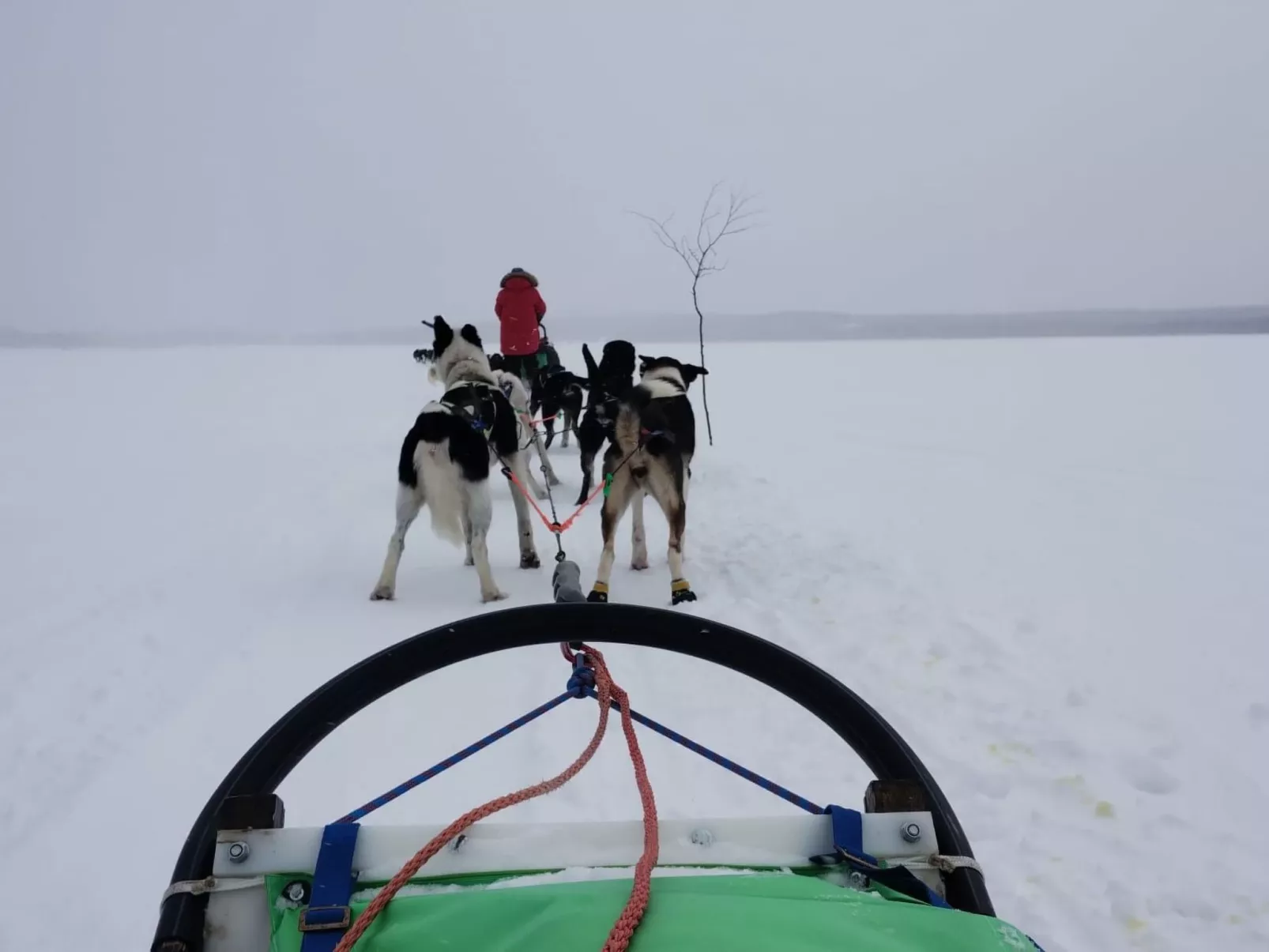Haus-Lappland-Buiten