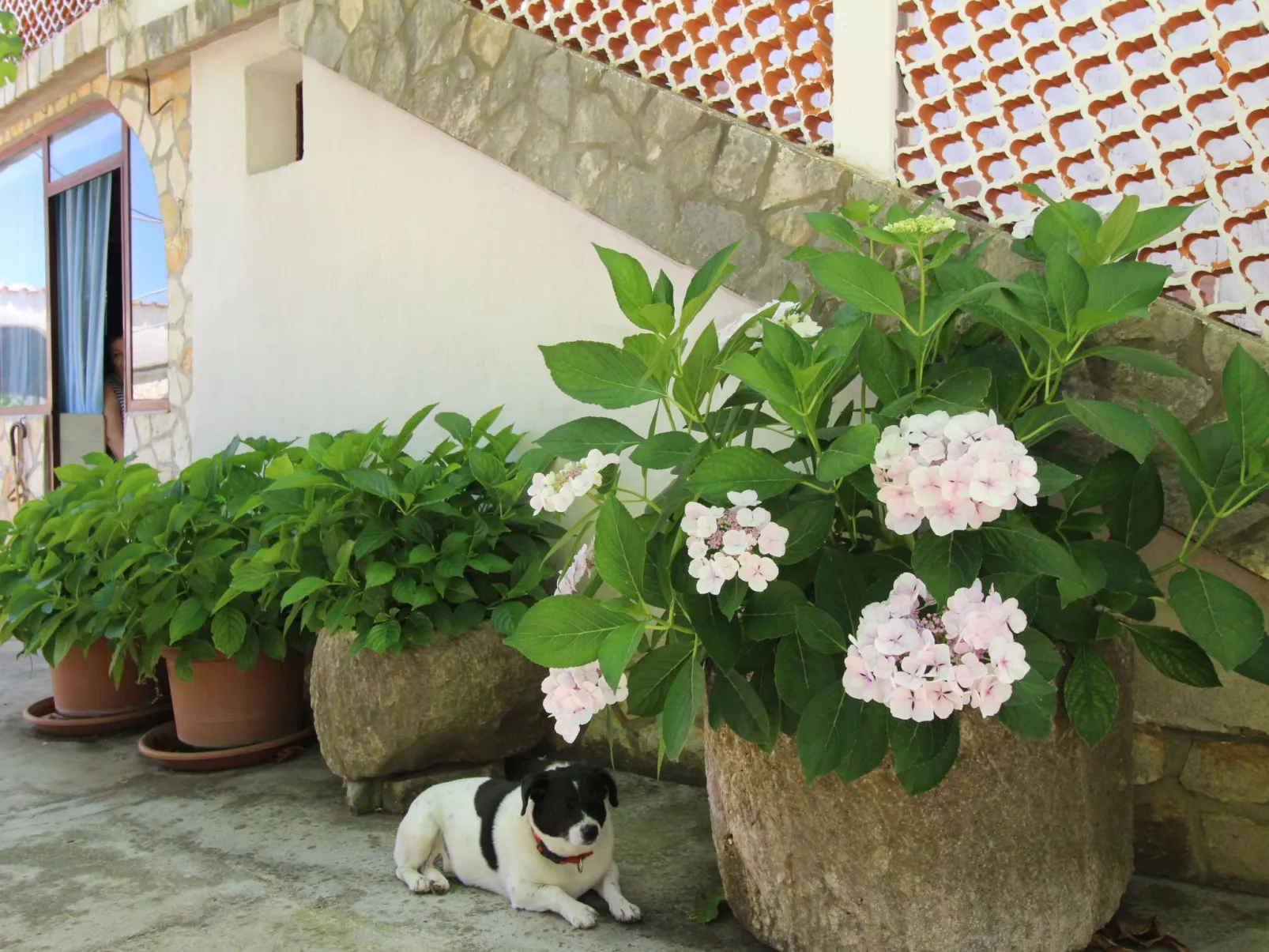 Apartment Andjela-Buiten