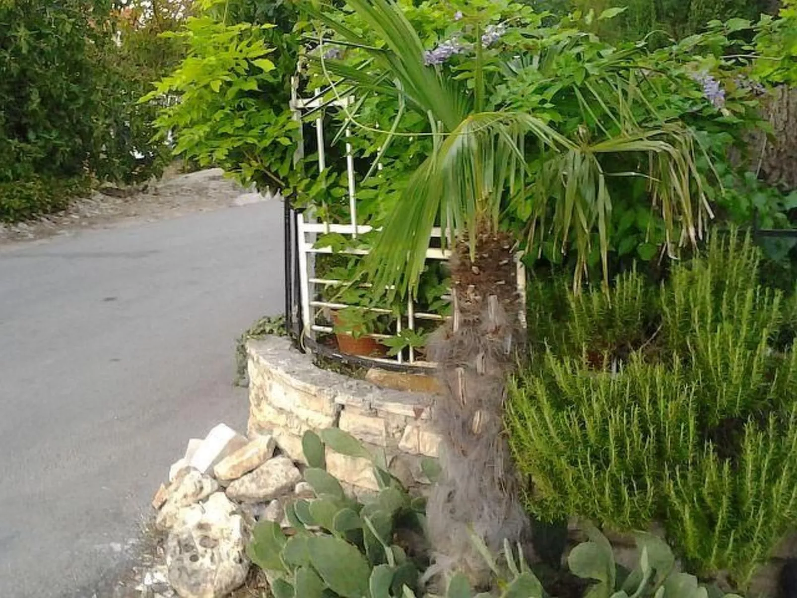 "Moreta - Luce" mit Terrasse-Buiten