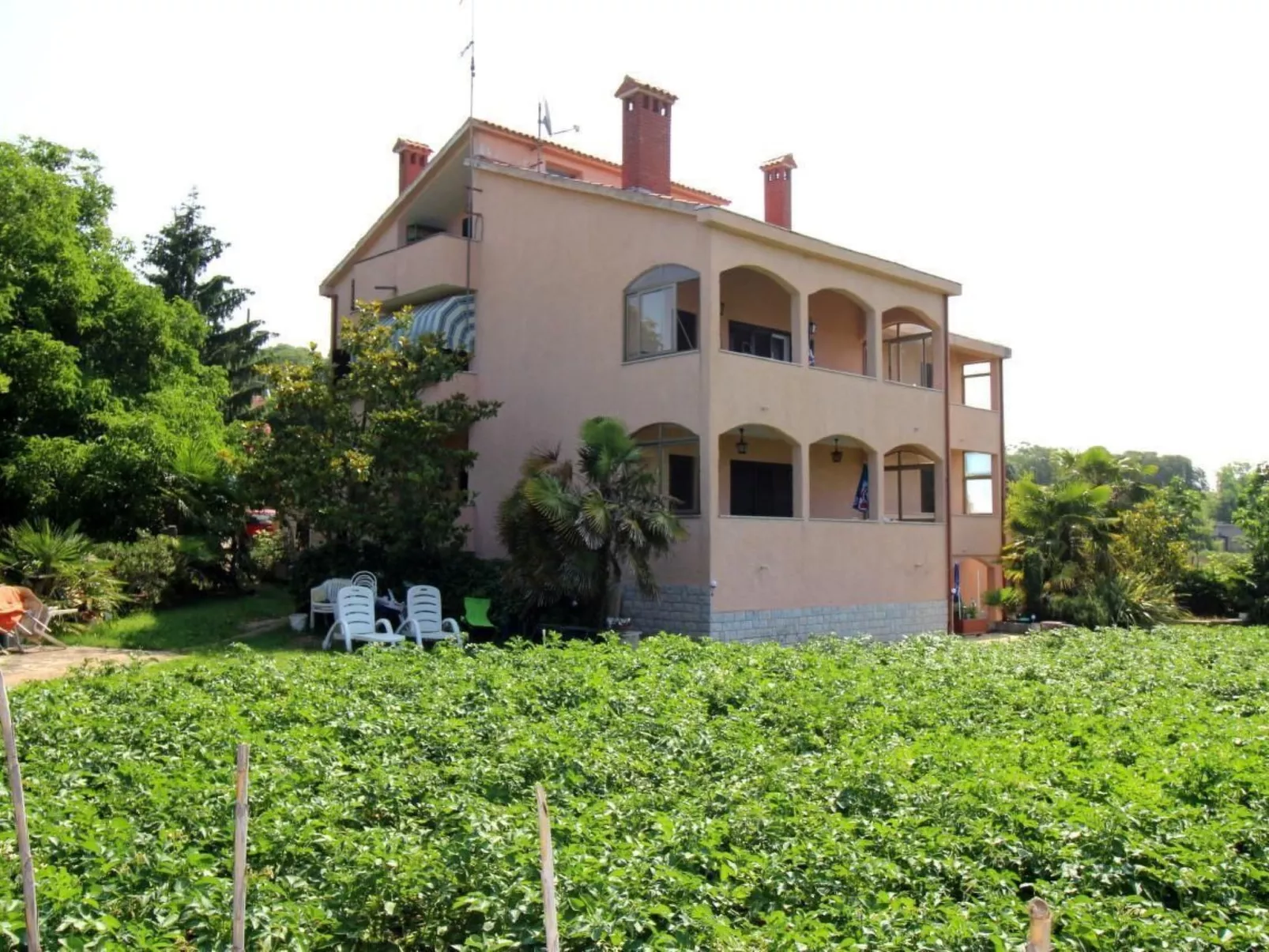 Keti-Image-tags.info