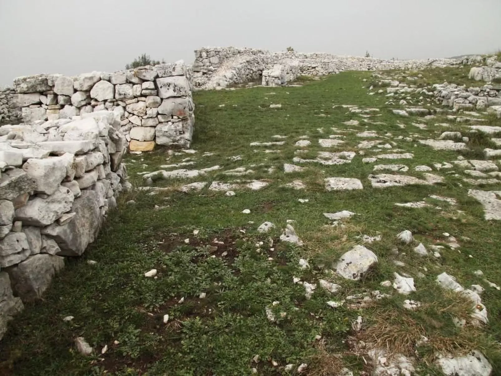 Wohnung mit Balkon-Image-tags.info