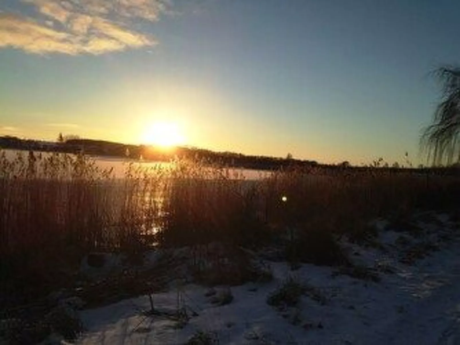 Ferienbungalow mit Terrasse und Seeblick in Sellin-Buiten