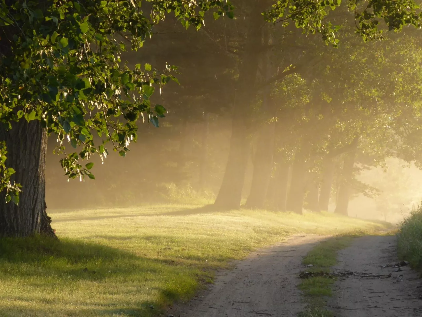 Hochwertige Ferienwohnung in Gingst-Buiten