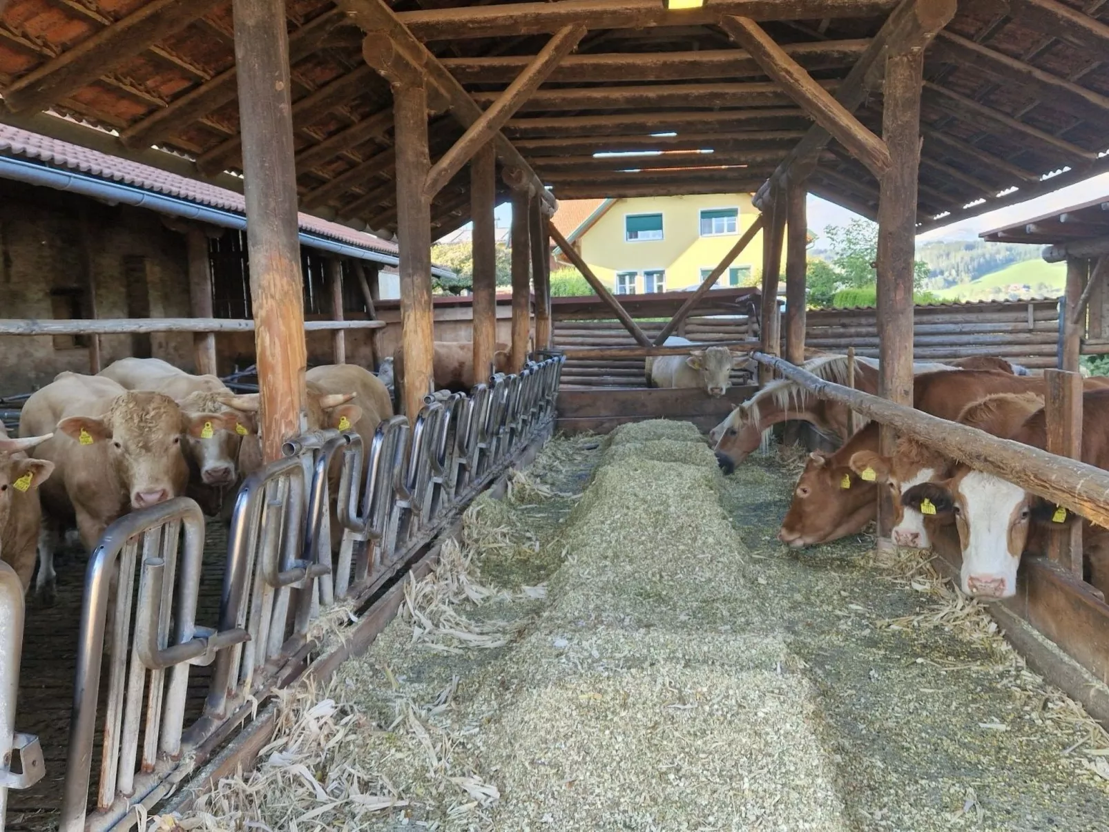 Bergbauernsuite-Buiten