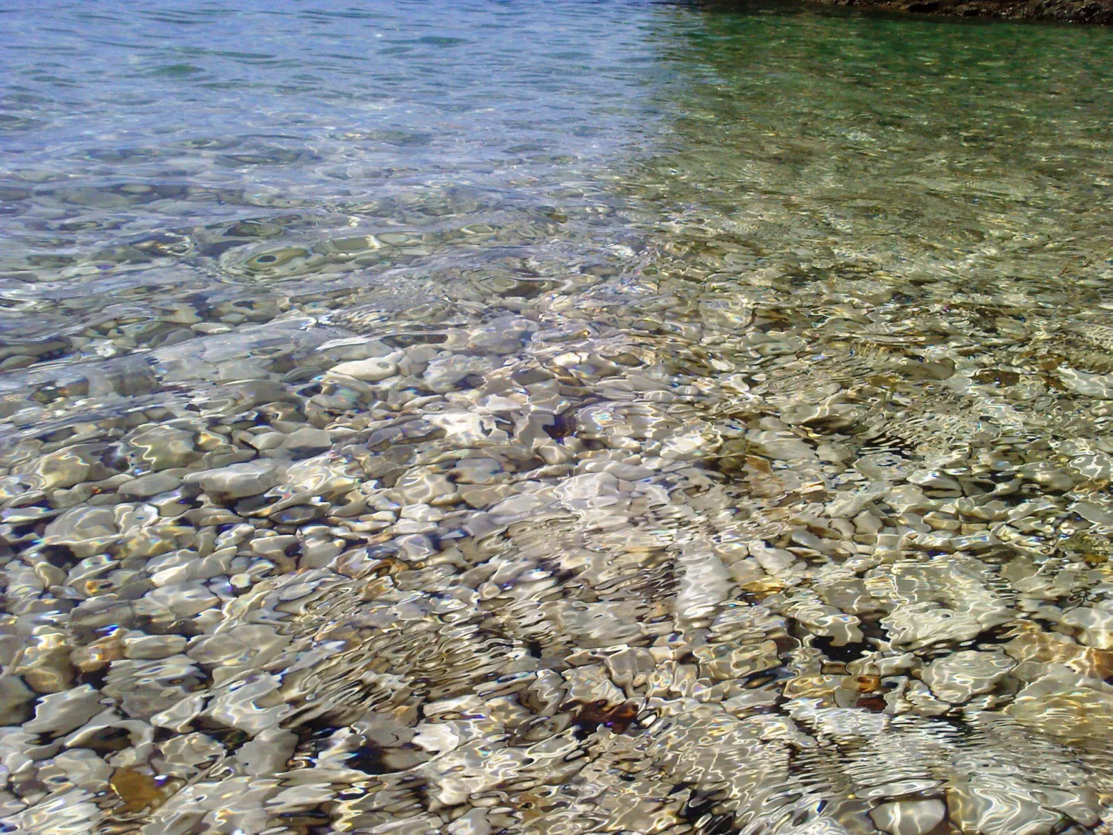 Gemütliche Wohnung mit Gartenblick-Buiten