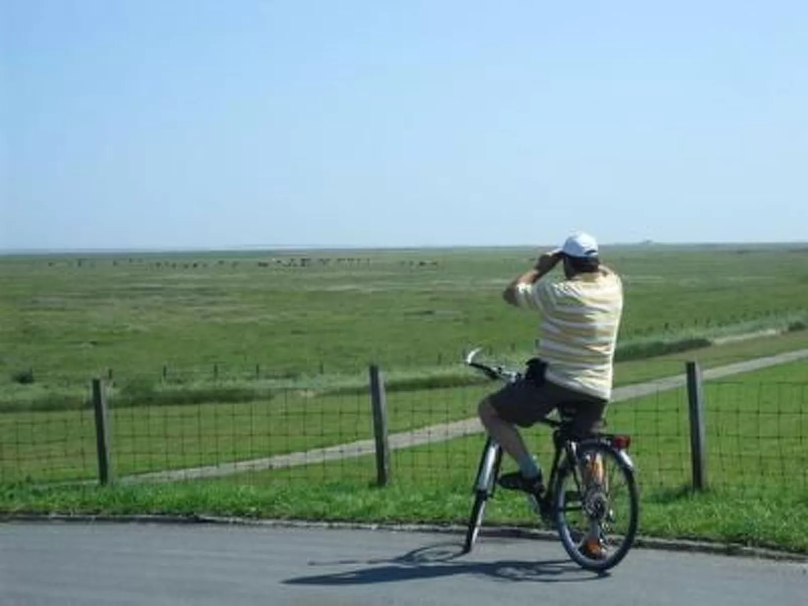 Geräumige Ferienwohnung mit Garten und Grill-Buiten