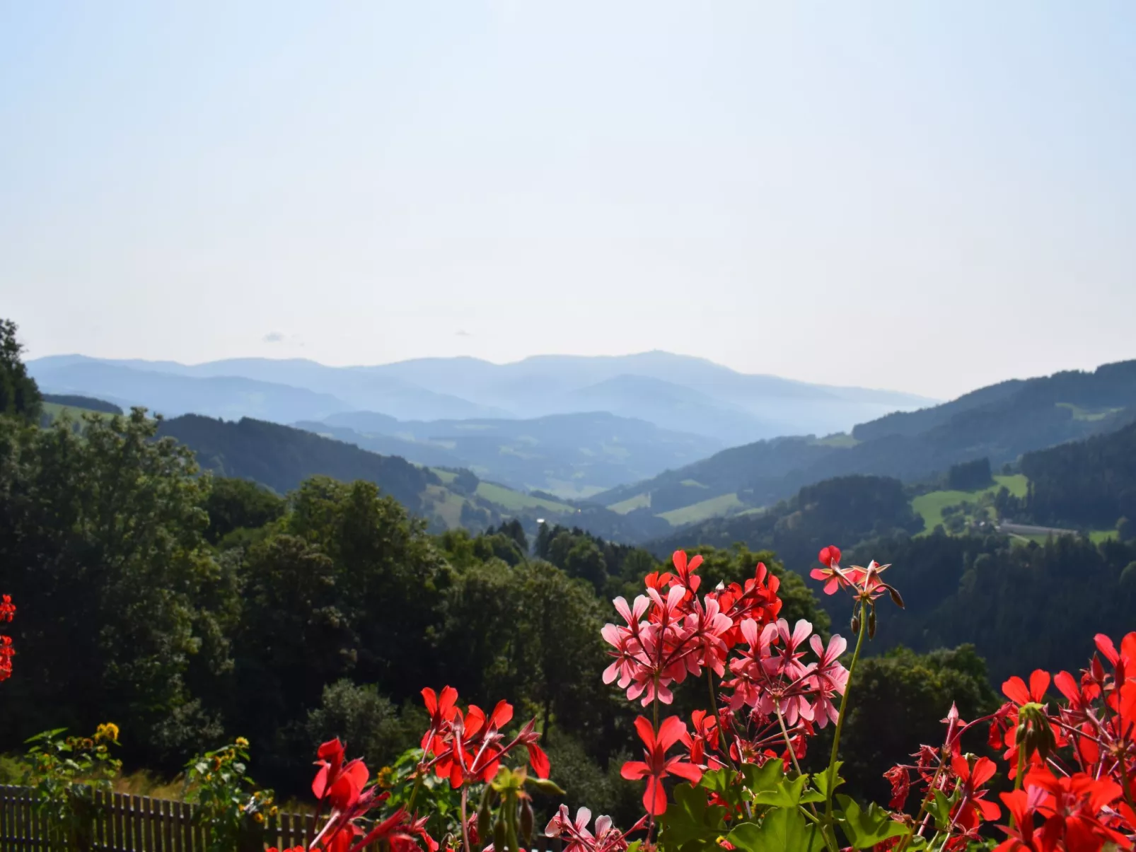Alm-Ferienhaus-Buiten
