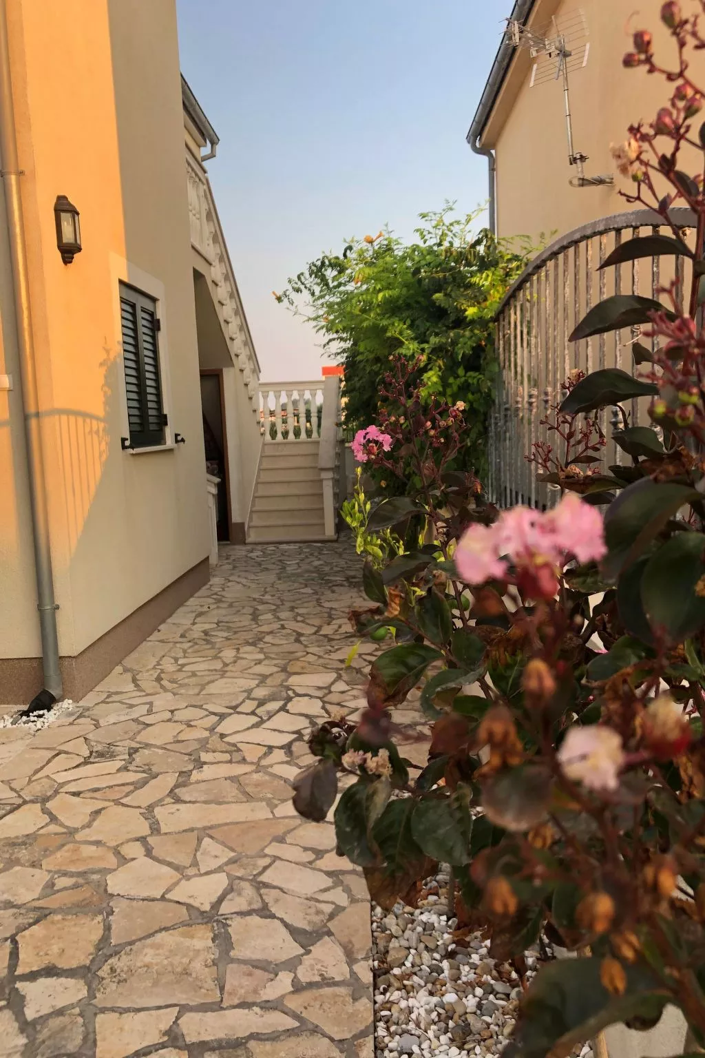 Villa Olive Grove-Buiten