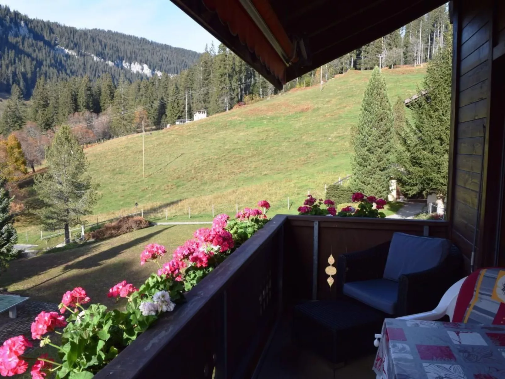 Haus Ahorni-Image-tags.info