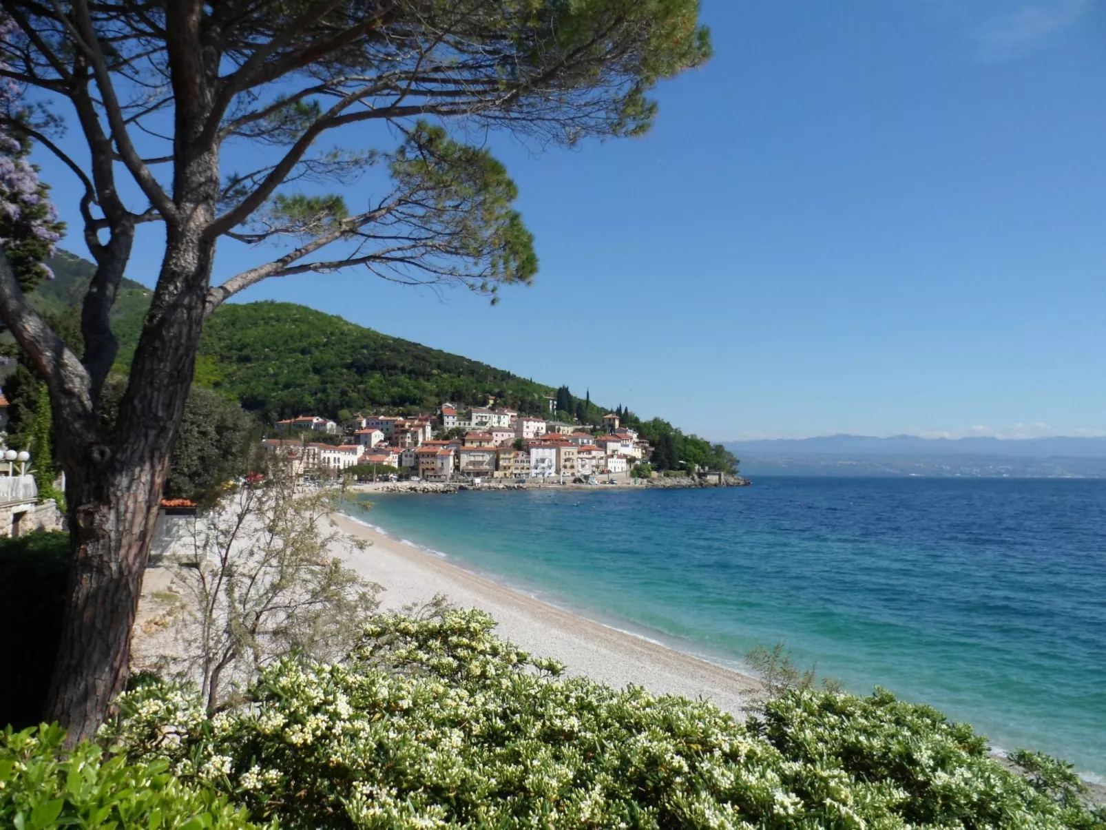 Wohnung "Zwillingsterrassen Gartenwohnung"-Image-tags.info