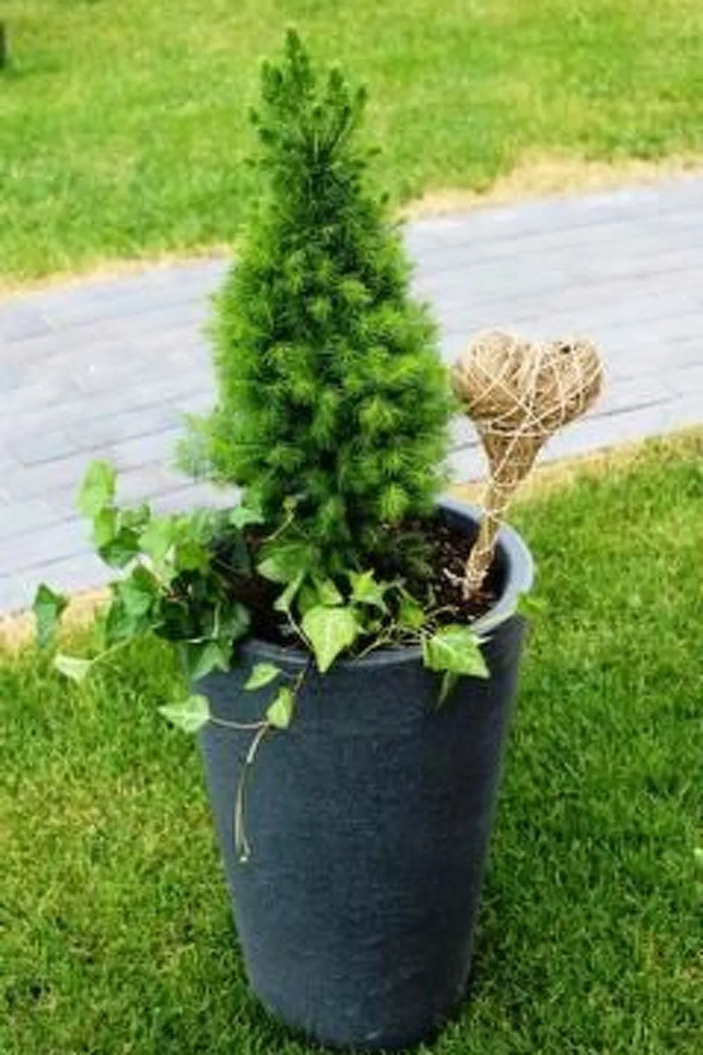 Fischer‘s 5 Sterne Ferienhaus Rügen-Buiten