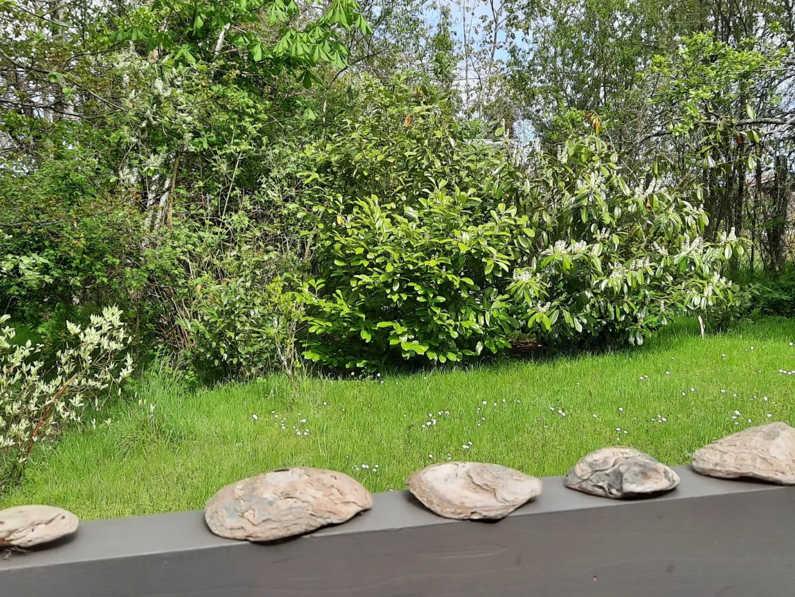 Gartenblick in Vöhl-Basdorf-Buiten