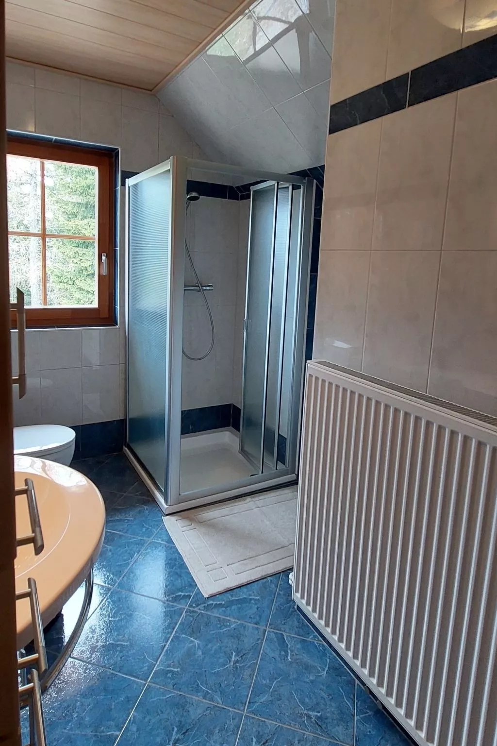 Zirbenholzalmhütte mit fantastischem Ausblick-Binnen